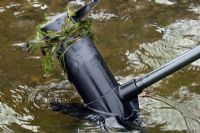 Université Bishop's : l’intelligence artificielle pour lutter contre les plantes aquatiques envahissantes